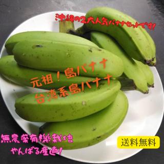人気の純国産バナナ2種！食べ比べ！沖縄本島北部産！2種バナナセット！(フルーツ)