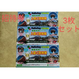 城島高原パーク入園ご招待券　チケット　大分県　テーマパーク　遊園地アトラクション(その他)