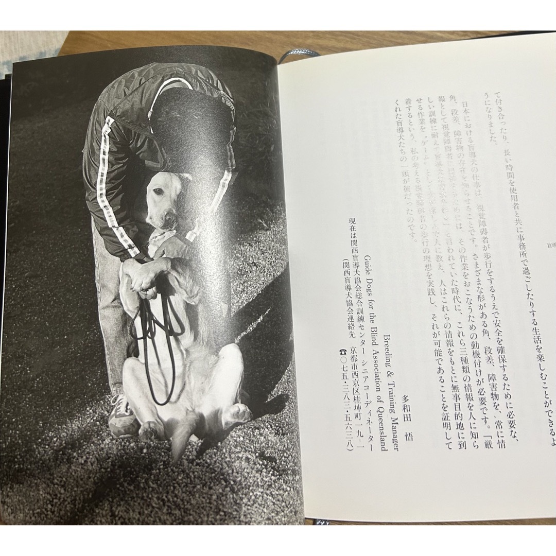 文藝春秋(ブンゲイシュンジュウ)の盲導犬クイ－ルの一生 エンタメ/ホビーの本(ノンフィクション/教養)の商品写真