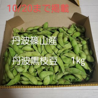丹波篠山産　丹波黒枝豆1㎏(野菜)