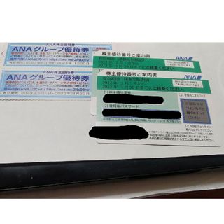 エーエヌエー(ゼンニッポンクウユ)(ANA(全日本空輸))のANA 株主優待 2枚 2023年11月30日期限(その他)