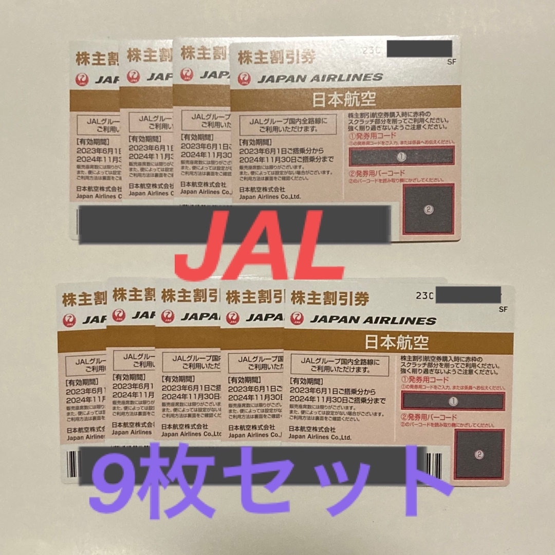 JAL 株主割引券 日本航空