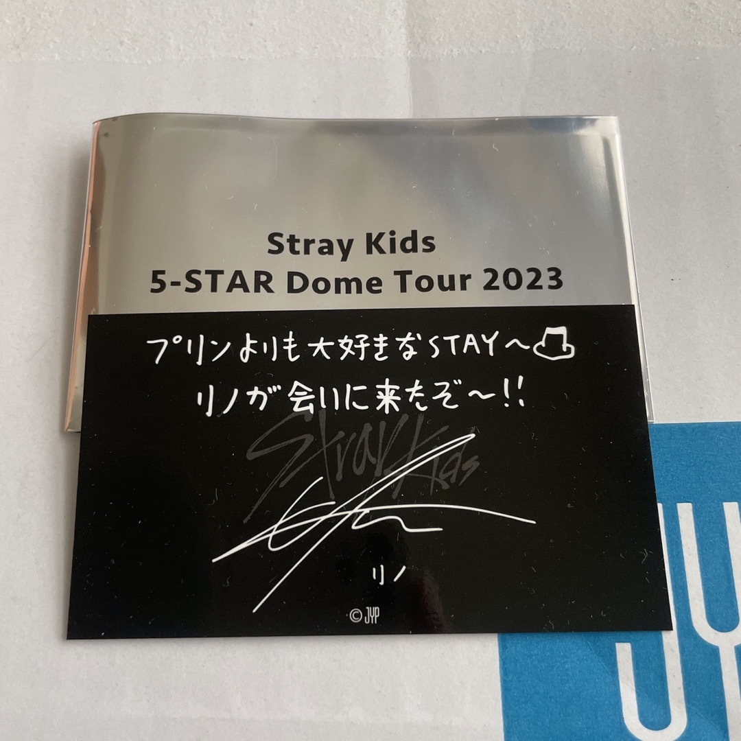 Stray Kids - straykids リノ skzoo リービット バックチャーム