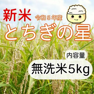 新米 とちぎの星 無洗米 5kg(米/穀物)