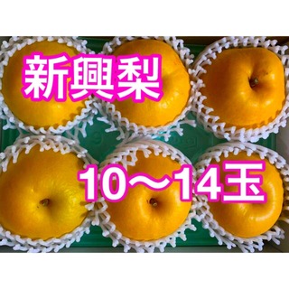 ◆新興梨◆ 4〜5キロ(フルーツ)