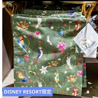 ディズニー(Disney)の★DISNEY RESORT限定　新品タグ付き　巾着 グリーン(キャラクターグッズ)