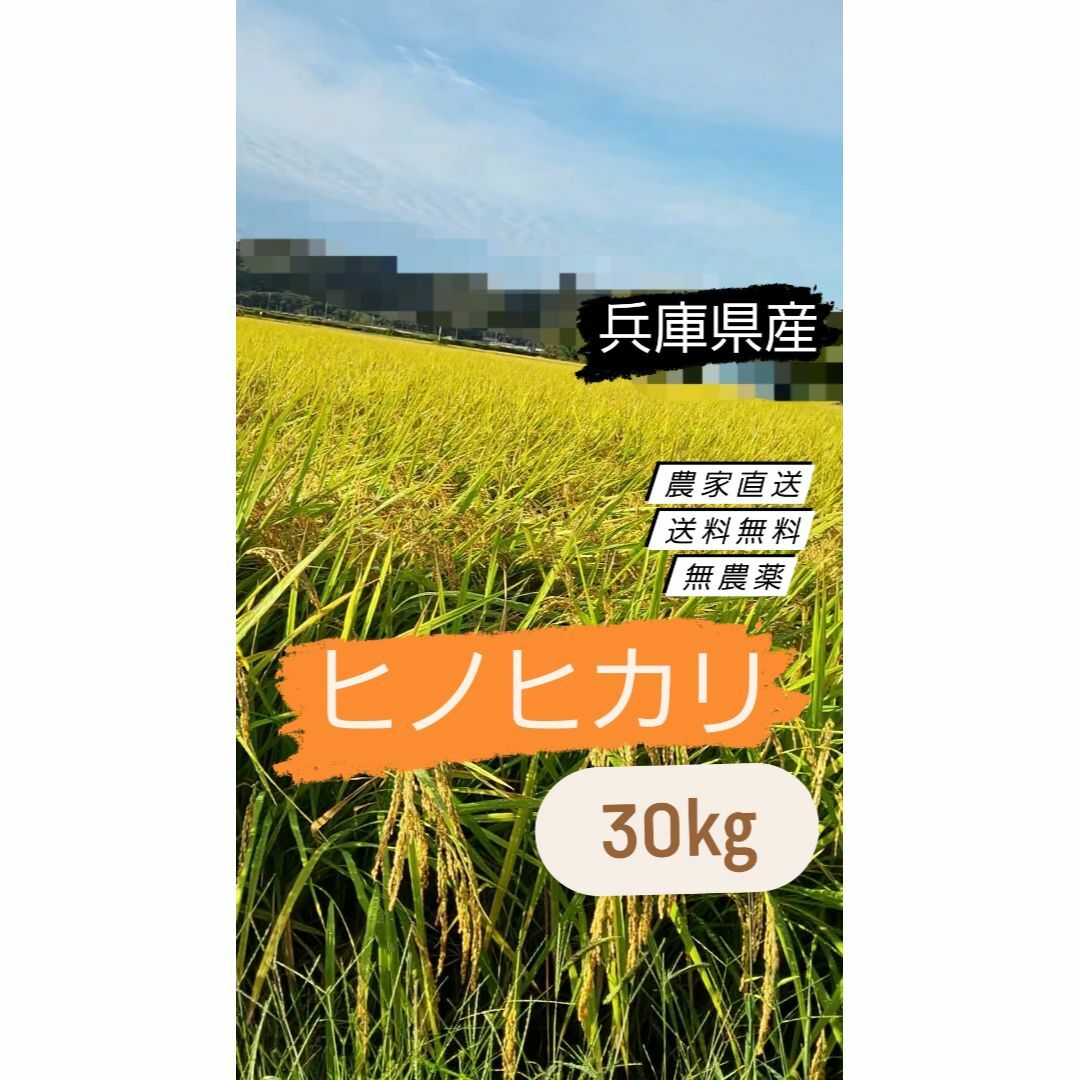 新米　令和5年】ひのひかり　30kg　ヒノヒカリ　玄米　農薬：栽培期間中不使用　米/穀物