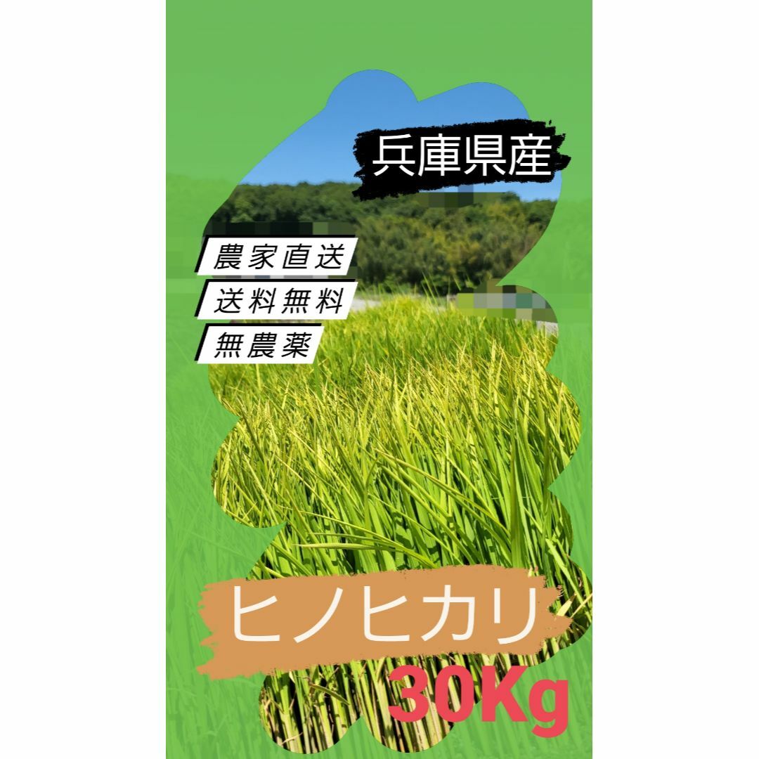 農薬不使用奈良県産新米ひのひかりお米 玄米ヒノヒカリ⑤ - 米・雑穀・粉類