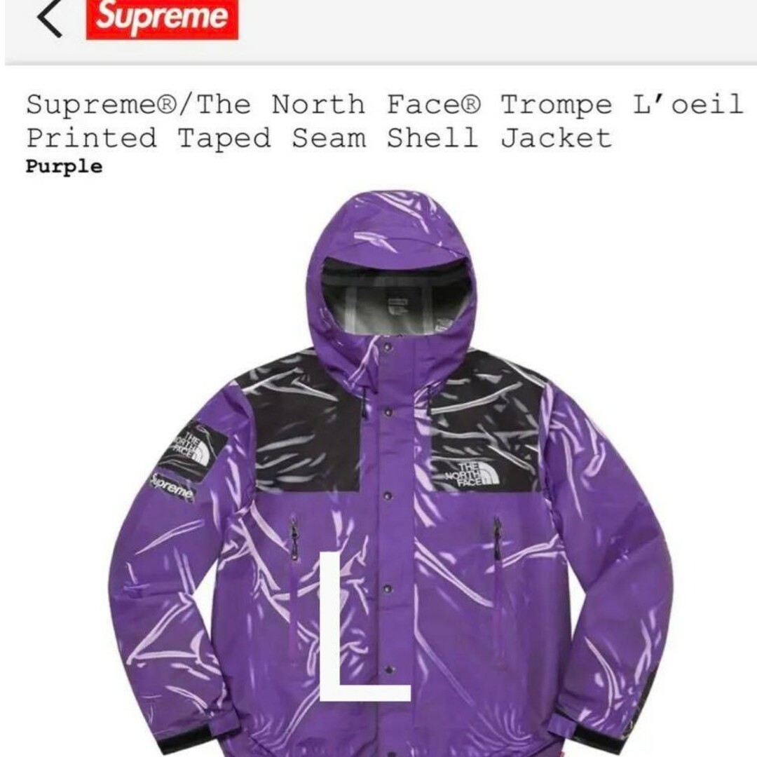 Supreme/The North Face