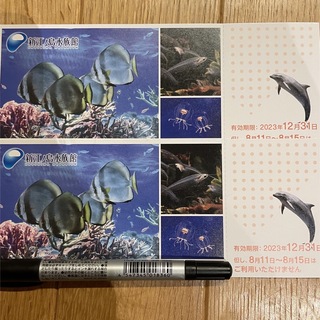 新江ノ島水族館チケット2枚(水族館)