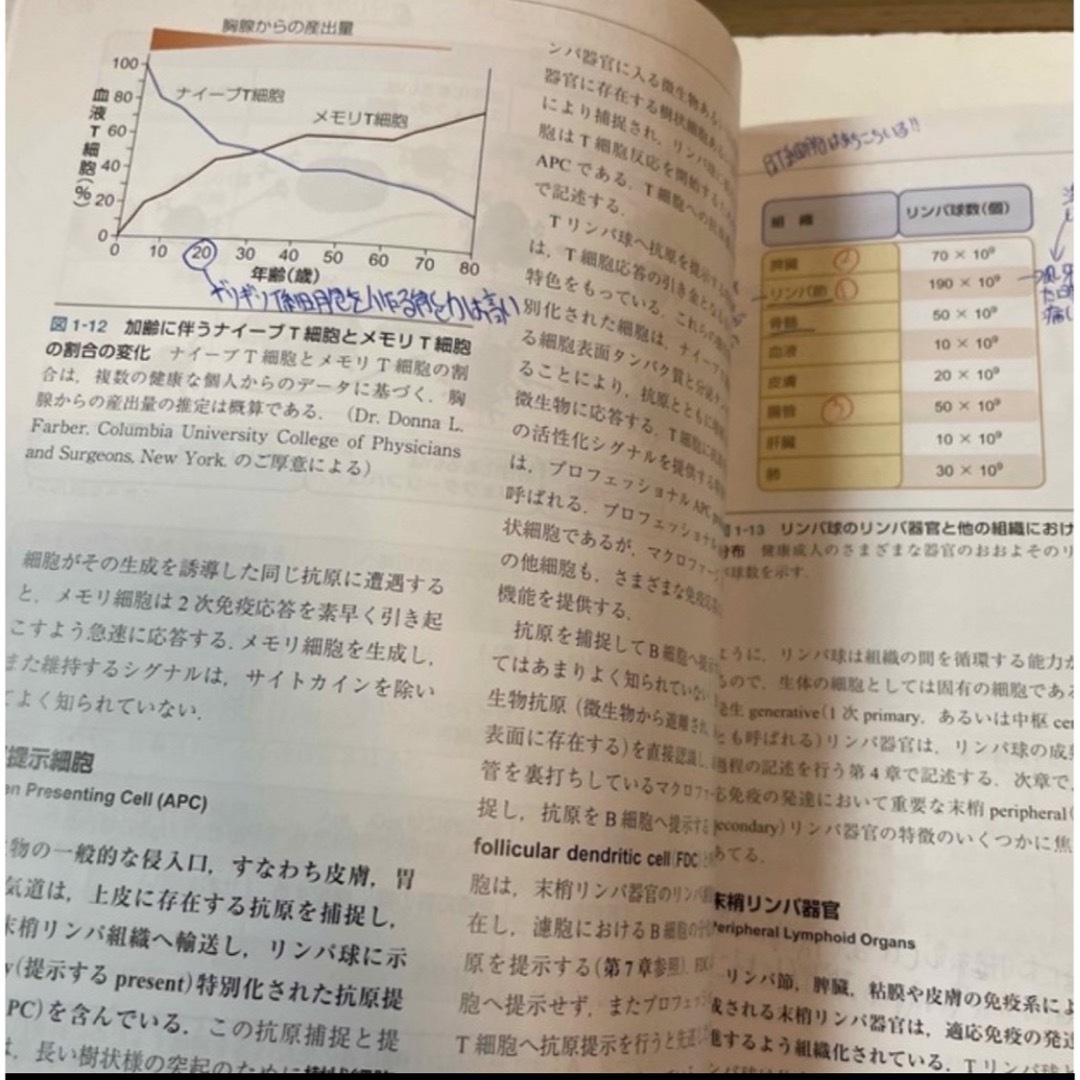 基礎免疫学 免疫システムの機能とその異常 エンタメ/ホビーの本(健康/医学)の商品写真