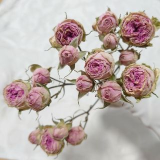 No.122  ミニバラ 薔薇 かすみ草 スターチス ドライフラワー  詰合わせ(ドライフラワー)