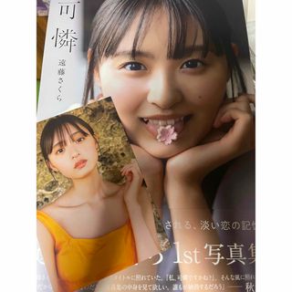 ノギザカフォーティーシックス(乃木坂46)の乃木坂46 遠藤さくら　1st写真集「可憐」 通常版(アート/エンタメ/ホビー)