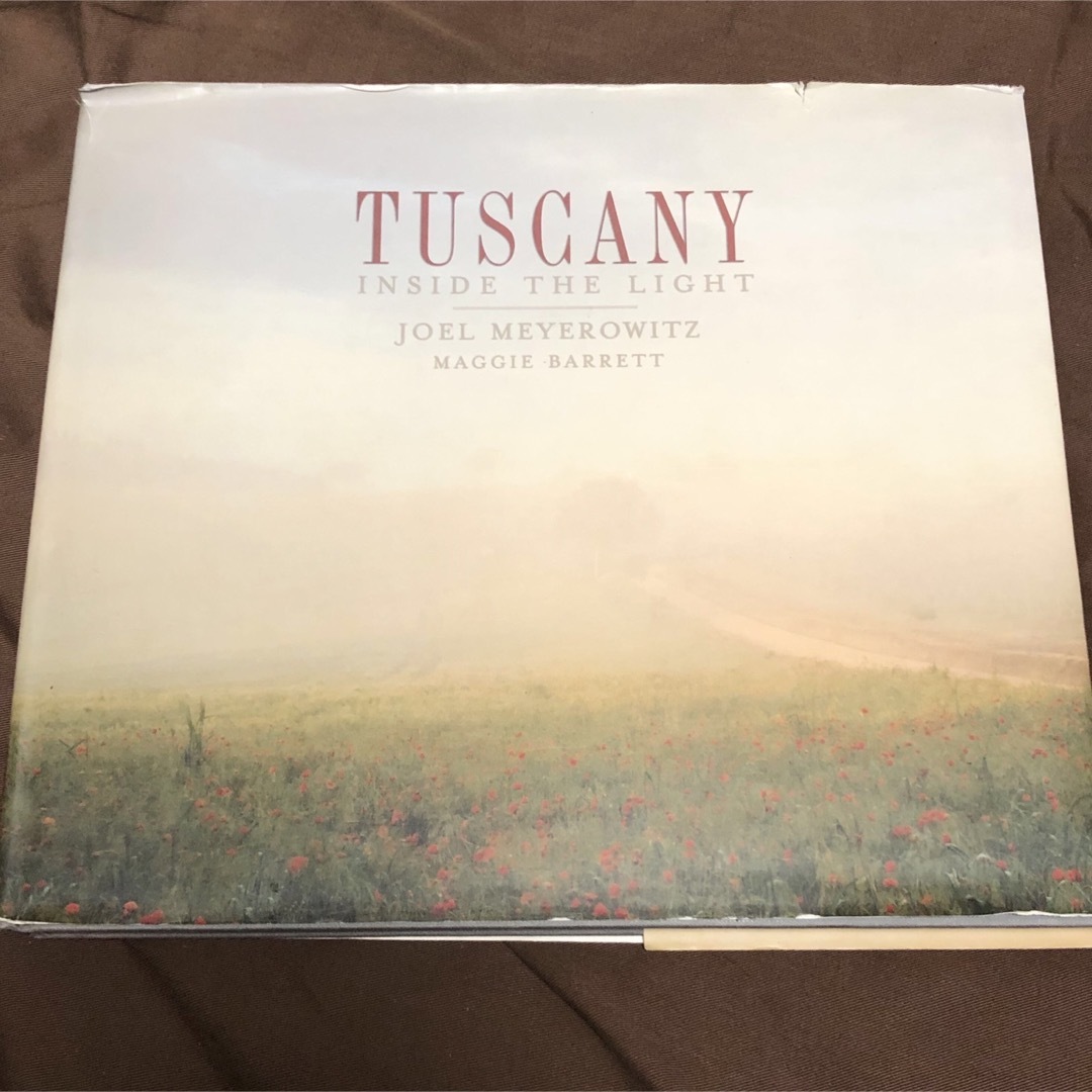 Tuscany Inside the Light Joel Meyerowitz