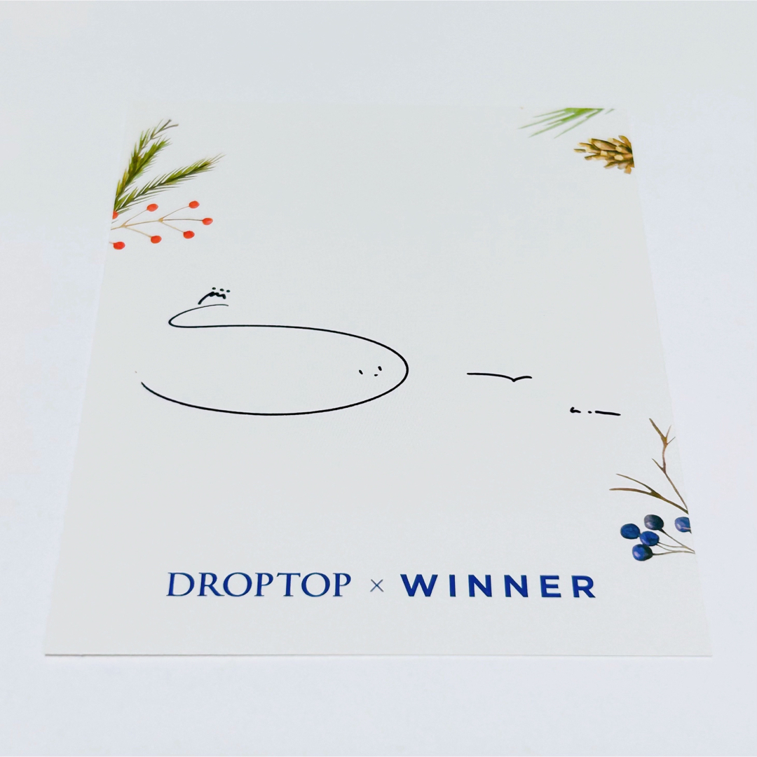 WINNER DROPTOP ポラロイド スンフン 1