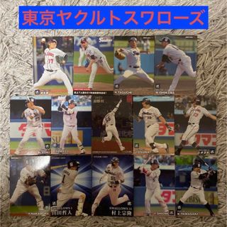 トウキョウヤクルトスワローズ(東京ヤクルトスワローズ)のプロ野球チップスカード　東京ヤクルトスワローズ　14枚セット(スポーツ選手)