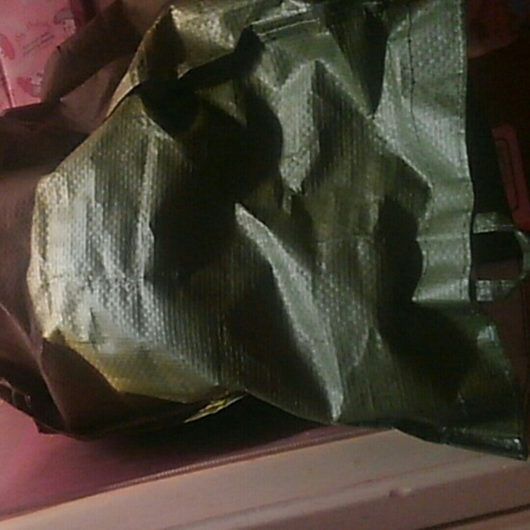 緑マジックテープつき袋 ハンドメイドのキッズ/ベビー(外出用品)の商品写真