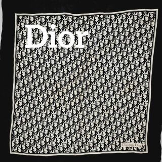 Christian Dior - ☆Christian Dior☆ スカーフ トロッター シフォン