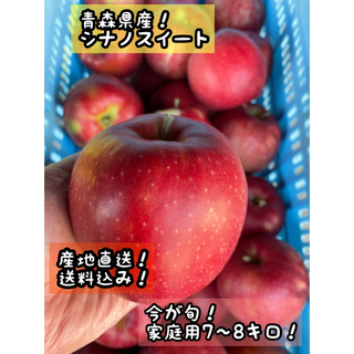 青森直送　りんご　シナノスイート　果物　林檎7〜8キロ(フルーツ)