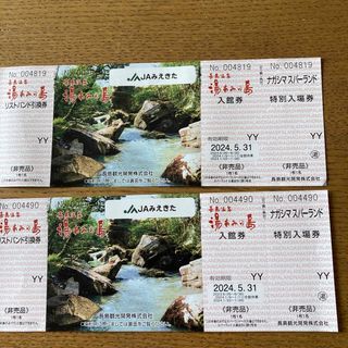 湯あみの島とナガシマスパーランド入場券２枚(遊園地/テーマパーク)
