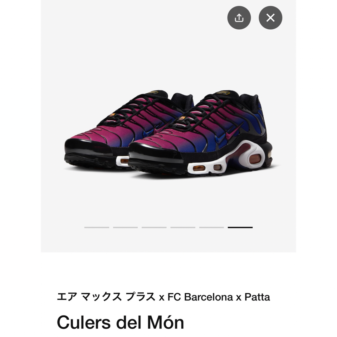 29cm Patta Barcelona Nike Air Max Plus