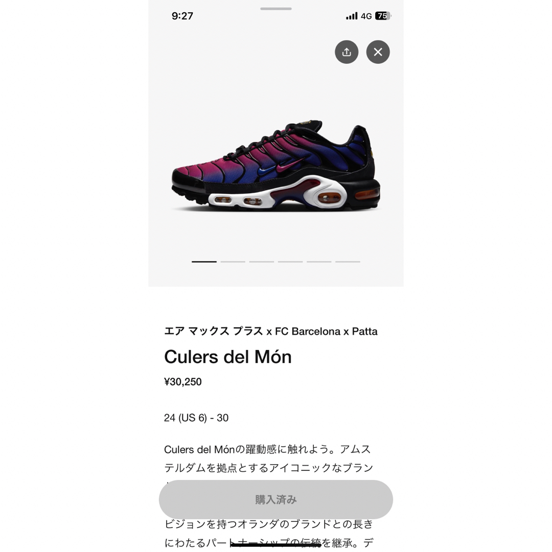 NIKE(ナイキ)の29cm Patta Barcelona Nike Air Max Plus メンズの靴/シューズ(スニーカー)の商品写真