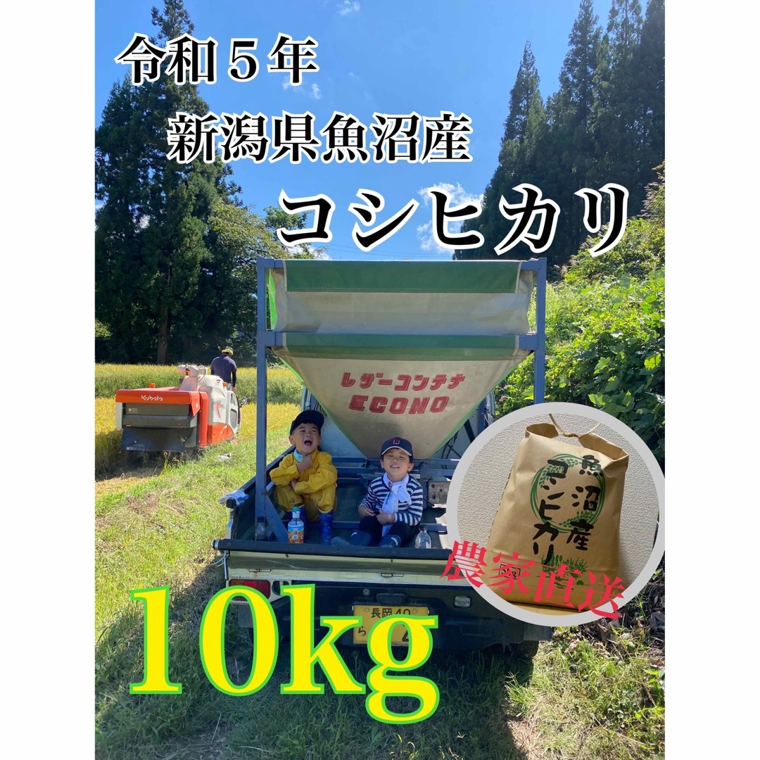 令和５年　新潟県魚沼産コシヒカリ　10kg(白米)十日町
