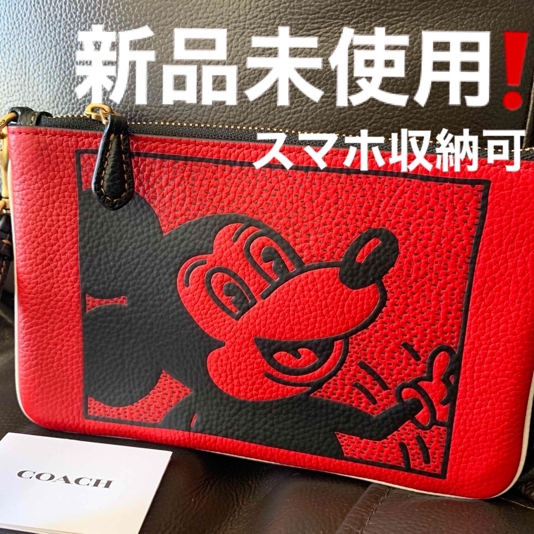 COACH x Disney Mickey x Keith Haring