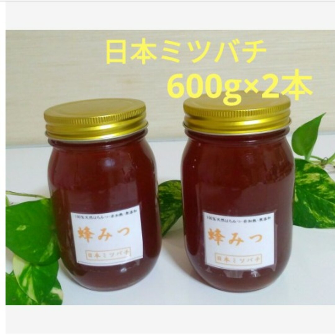 日本ミツバチの蜂蜜  600g×2本