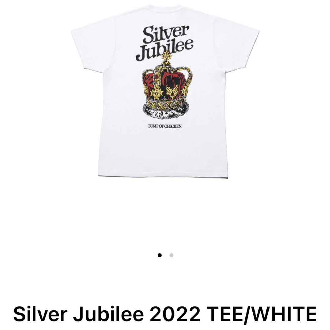 BUMP OF CHICKEN(バンプオブチキン)のBUMP OF CHICKEN Silver Jubilee 2022 TEE エンタメ/ホビーのタレントグッズ(ミュージシャン)の商品写真