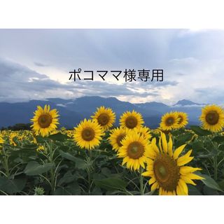 ビーファースト タレントグッズの通販 3,000点以上 | BE:FIRSTの