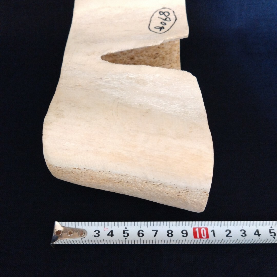 抹香鯨 マッコウクジラの骨 約890g 歯 牙 根付 印材 印鑑 彫刻 希少品-