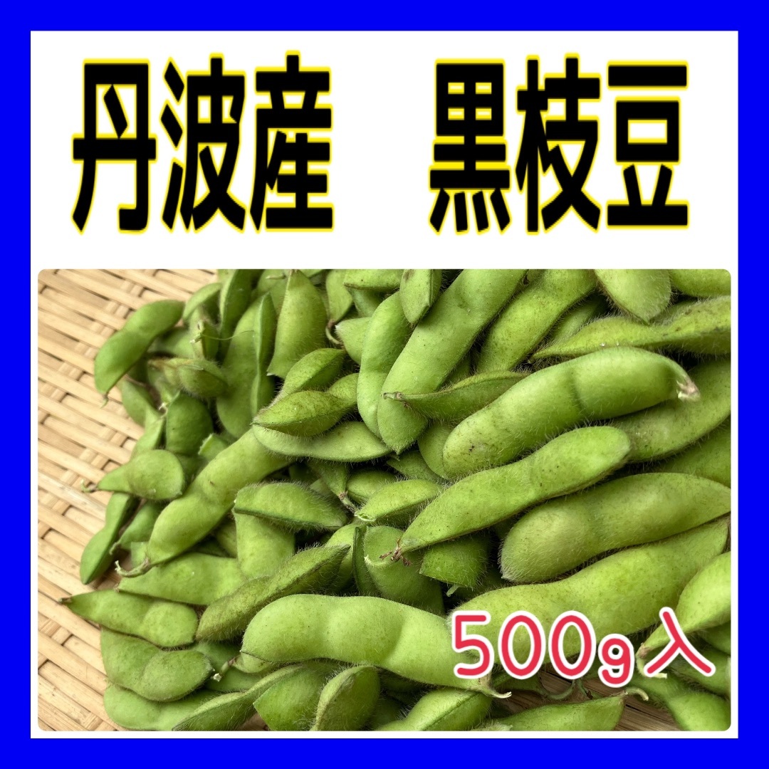 丹波産黒枝豆　500g入‼️ 食品/飲料/酒の食品(野菜)の商品写真