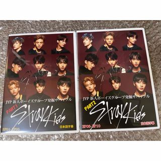 ストレイキッズ(Stray Kids)のStray Kids  新人ボーイズグループ発掘サバイバル 日本語字幕(アイドル)