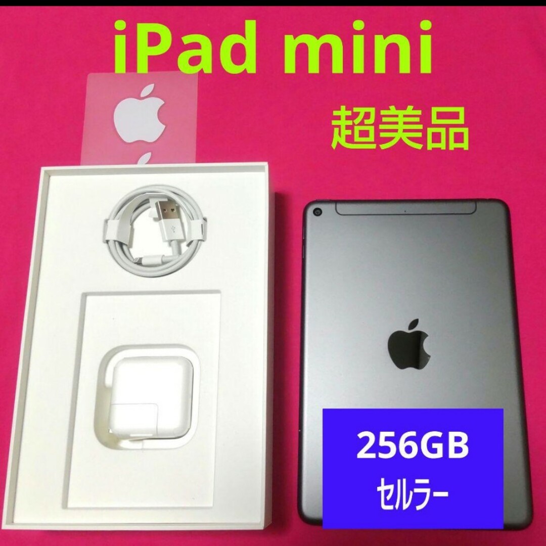 ipad mini5 256 美品