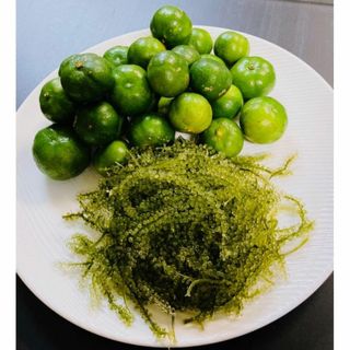 期間限定！！沖縄特産！海ぶどう、シークワーサーお試しセット！(野菜)