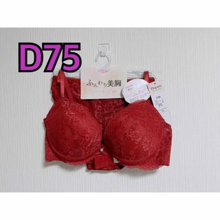 新品未使用☆Elegante☆ブラ＆ショーツセット☆D75(ブラ&ショーツセット)