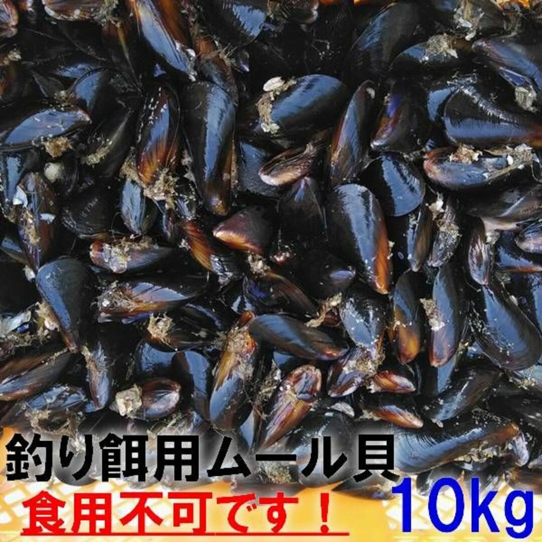 送料無料 釣り餌に★ムラサキイガイ１０ｋｇ1ｋ小分け袋入冷凍品イガイムール貝