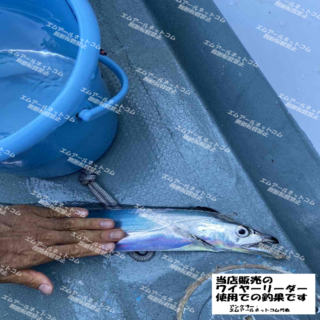 ワイヤーリーダー ２０ｃｍ　１０本　太刀魚　タチウオ　ジギング　青物等 スポーツ/アウトドアのフィッシング(釣り糸/ライン)の商品写真
