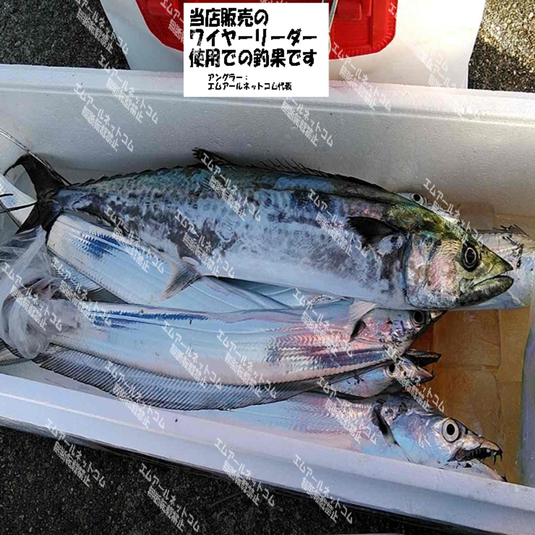 ワイヤーリーダー ２０ｃｍ　１０本　太刀魚　タチウオ　ジギング　青物等 スポーツ/アウトドアのフィッシング(釣り糸/ライン)の商品写真