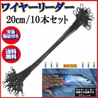 ワイヤーリーダー ２０ｃｍ　１０本　太刀魚　タチウオ　ジギング　青物等(釣り糸/ライン)