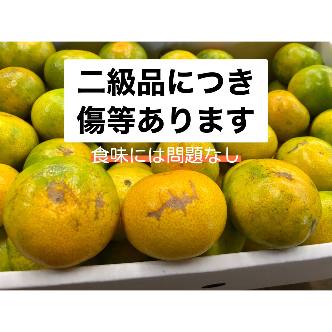 5kg Lサイズ　有田みかん　極早生みかん　二級品　優品 食品/飲料/酒の食品(フルーツ)の商品写真