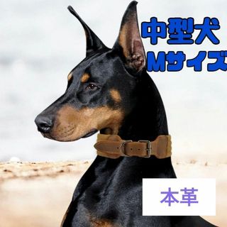 おしゃれ♡中型犬～ 首輪 頑丈 牛革使用 イヌ お散歩 ドック かっこいい♡ M(犬)