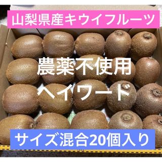 山梨県産　農薬不使用　キウイフルーツ　ヘイワード　国産グリーンキウイ　20個入り(フルーツ)