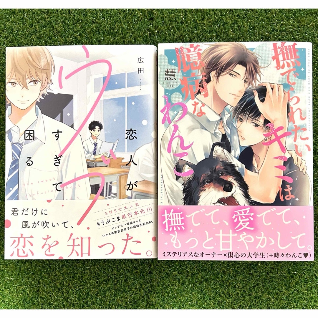BL漫画 2冊セット - 女性漫画 BL漫画 2冊セット - 女性漫画