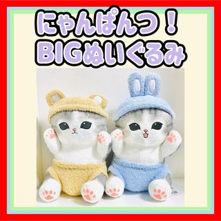 mofusand モフサンド にゃんぱんつ！BIGぬいぐるみ 2種 セット ねこの ...