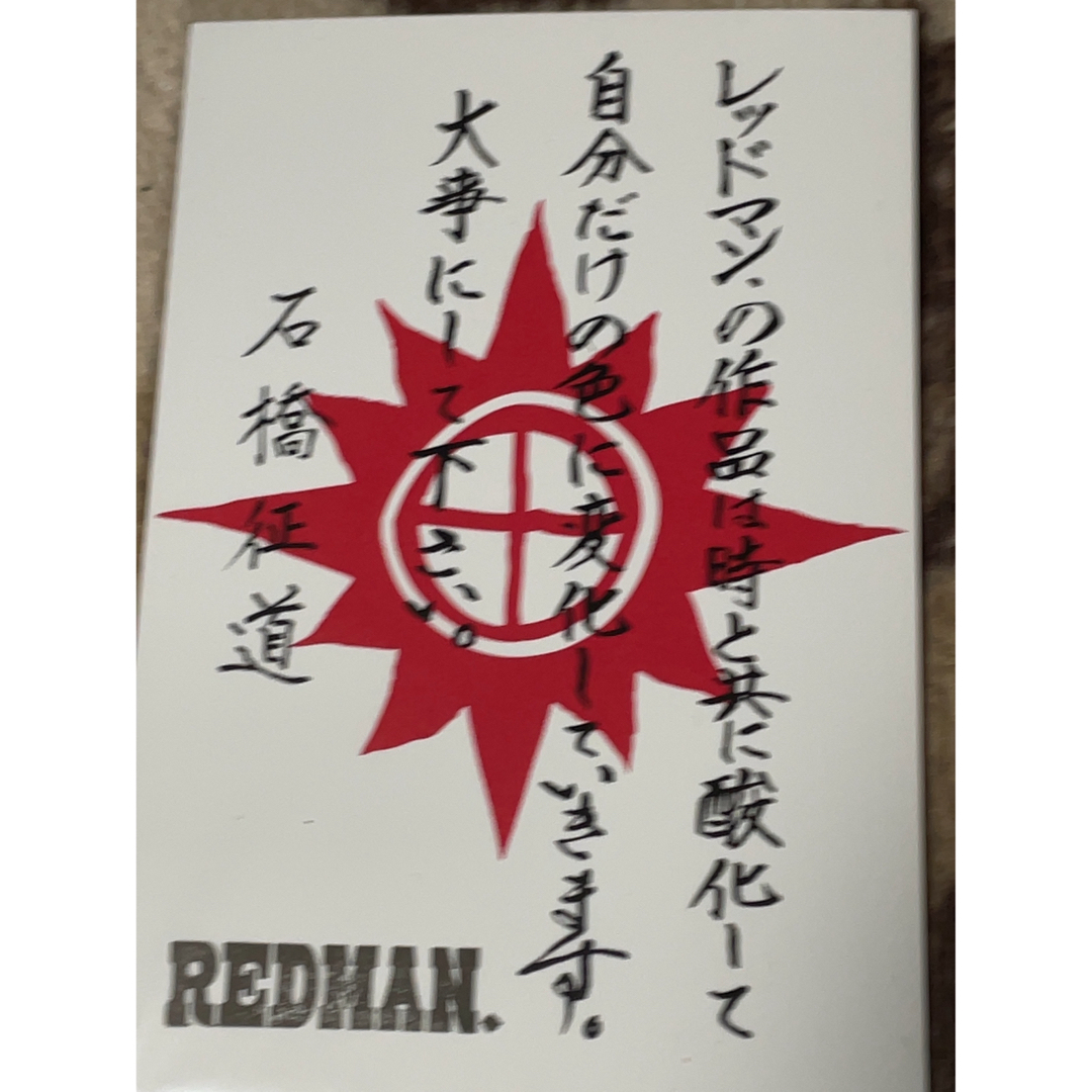 REDMAN. 太陽ターコイズ/メタル付き 大フェザー(右向き) 2