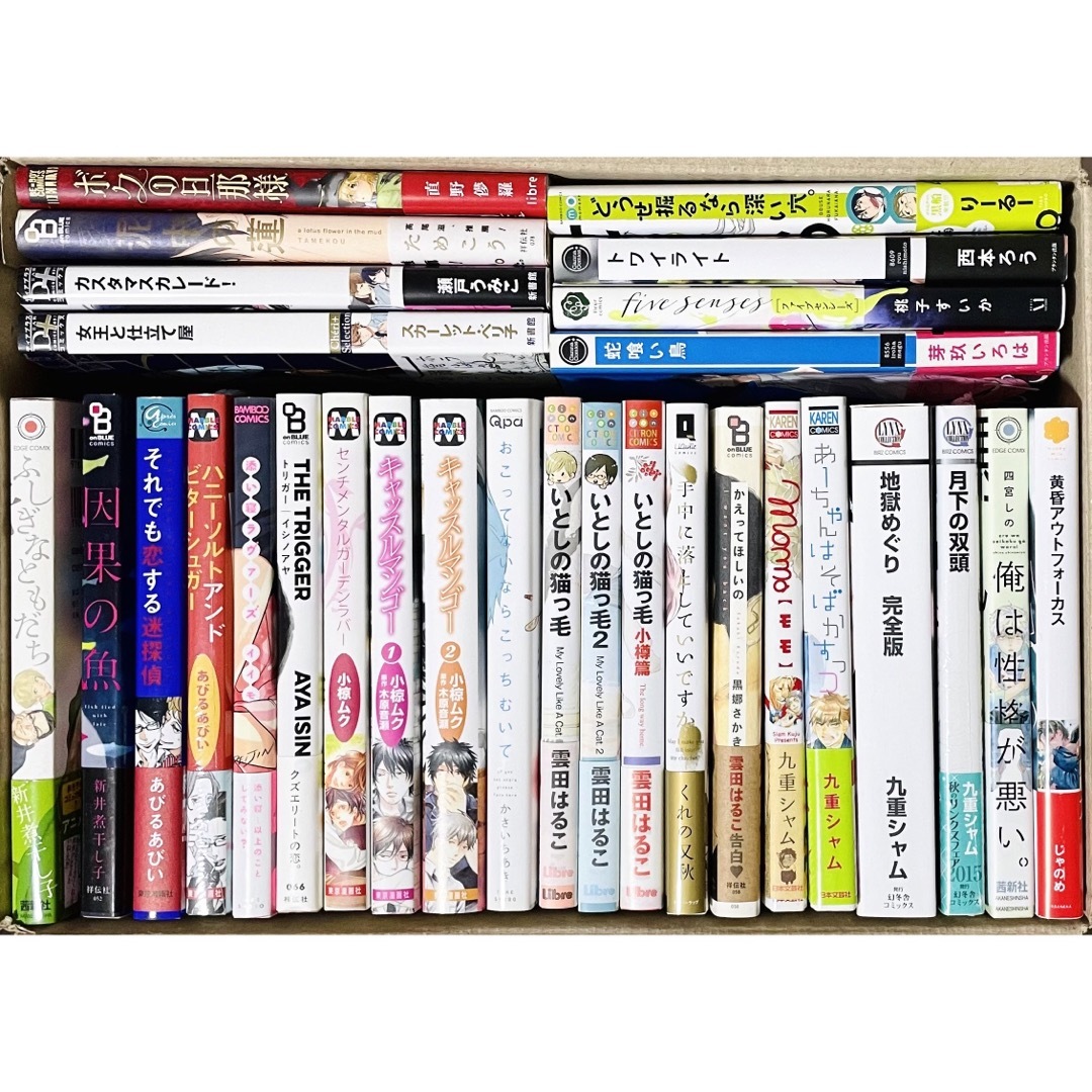 BLコミックまとめ売り 29冊セットの通販 by すずめ's shop|ラクマ