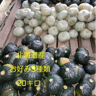 かぼちゃ20キロ(野菜)