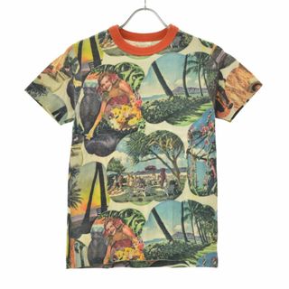 サンサーフ(Sun Surf)の【SUNSURF】SS77227 HAWAIIAN PICTURE PRINT (Tシャツ/カットソー(半袖/袖なし))